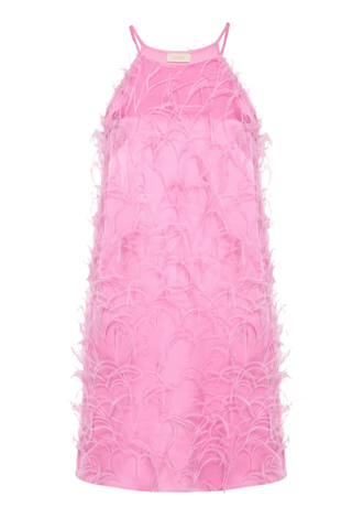 Satin Feather Embroidery Mini Dress | Hibiscus