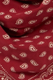 carmine/butter