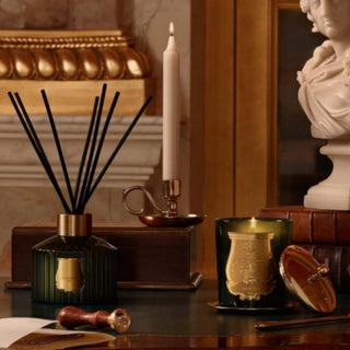 Trudon French luxury candles curated by an Austin, Texas boutique