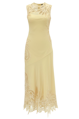 Idra Lace Applique Dress | Dandelion