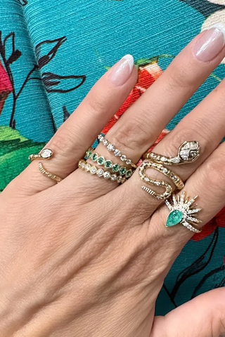 Tiny Rattlesnake Band