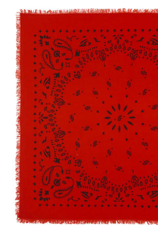 Large Bandana Hachiko | Red Orange
