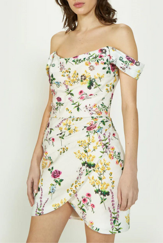 Diletta Floral Cotton Twill Mini Dress | Multicolor