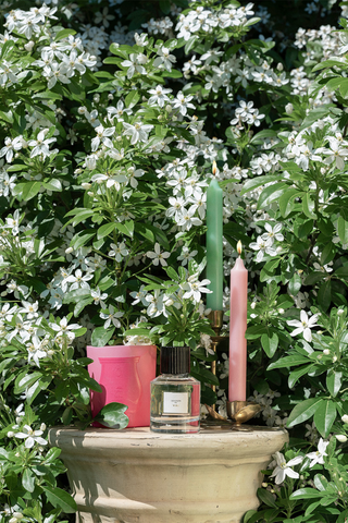 Madeleine Candles | Pink