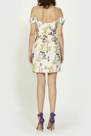 Diletta Floral Cotton Twill Mini Dress | Multicolor