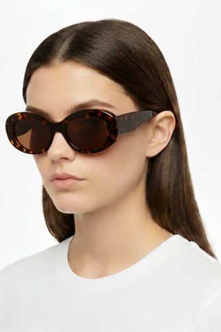 Envy 1003 | Brown