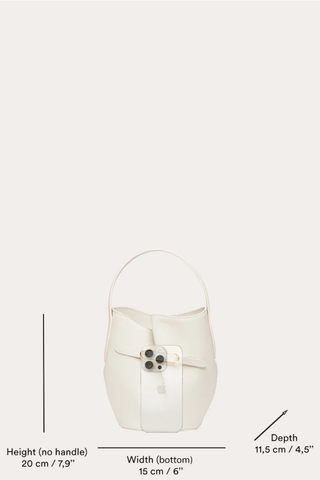 Mini Belted Bucket Bag | Black Raffia