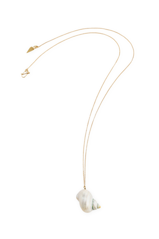 Seashell Necklace | Oro