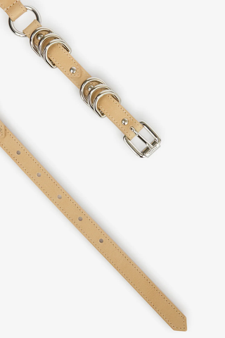 Bolton Belt | Toffee