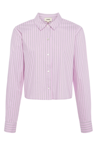 Cosette Striped Button-Down Shirt | Pink/Pistachio Stripe