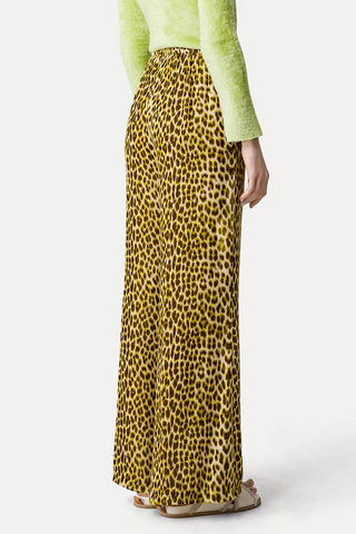 The Twilight Leopard Print Velvet Pants | Gold