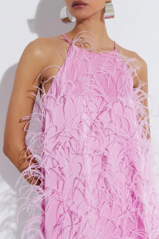 Satin Feather Embroidery Mini Dress | Hibiscus