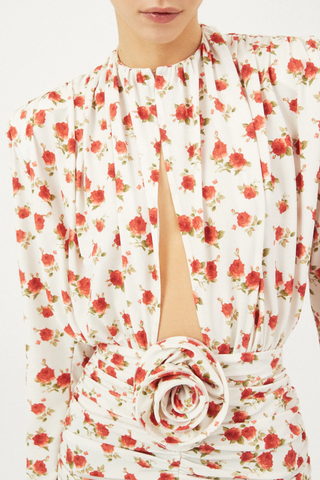 Ruched Long Sleeve Mini Dress | Cream Print