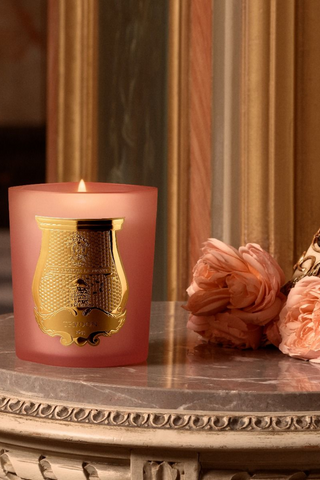 Scented Candle 270g | Tuileries
