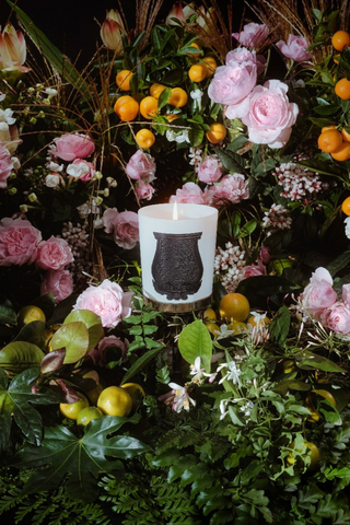Scented Candle 270G | Rose Poivre