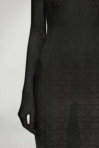 Intricate Sheer Pattern Dress