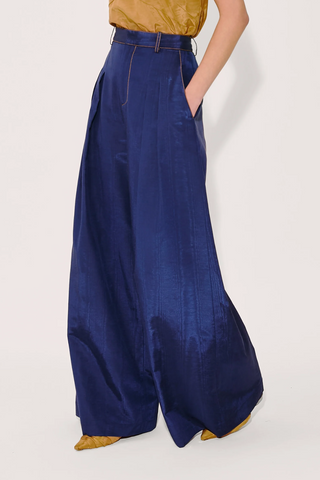 Wide Leg Pleat Pleat Pants | Blueberry