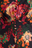 aster flame