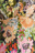 aster garden