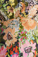 aster garden