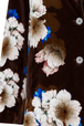blossom