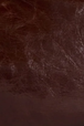 castagna