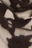 cowhide