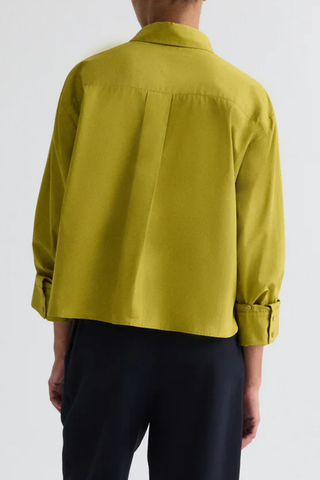 J.D. Shirt | Avocado Oil