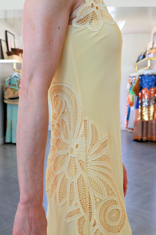 Idra Lace Applique Dress | Dandelion