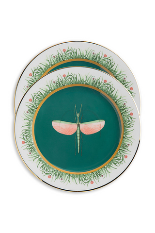 Dinner Plates Set Of 2 | Libellula