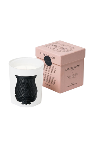 Scented Candle 270G | Rose Poivre